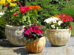 Virágvályú - Fekvő fonatú vázák - Akció, ár, árak, árlista