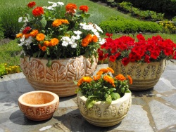 Virágvályú - Tölgyleveles vázák (122) - Akció, ár, árak, árlista