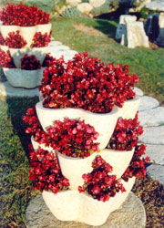 Virágvályú - Tufás összerakható váza - Akció, ár, árak, árlista
