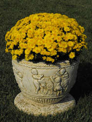 Virágvályú - Vékony oszlop és vázája - Akció, ár, árak, árlista.
